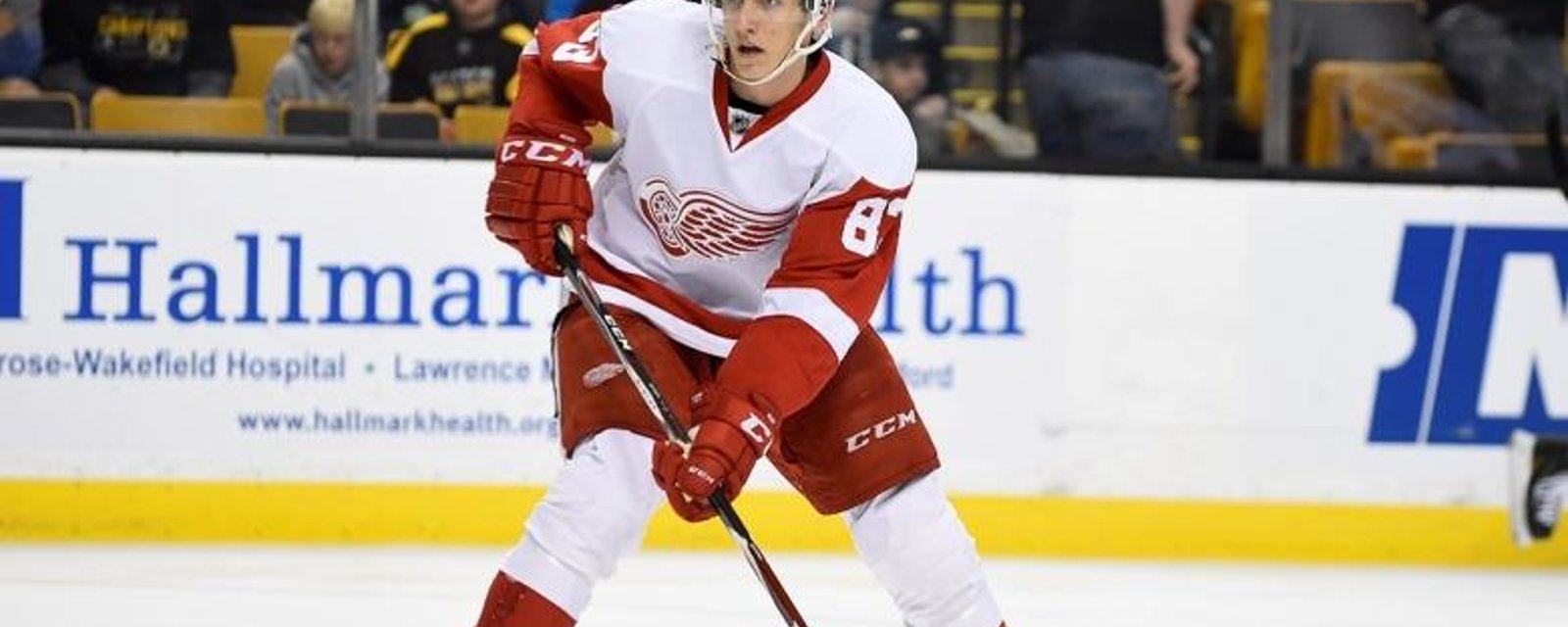 Red Wings sign young forward for two more years.