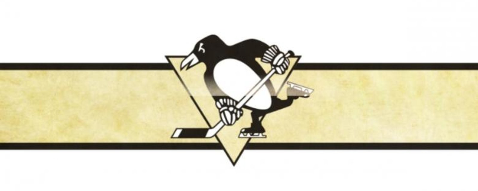 Pittsburgh Penguins: Time for Consistency, Results