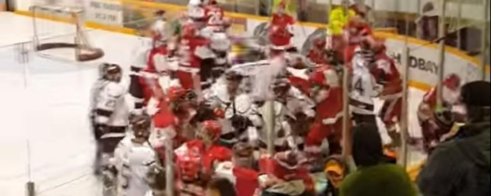 Brawl breaks out after fans throw animal parts on the ice.