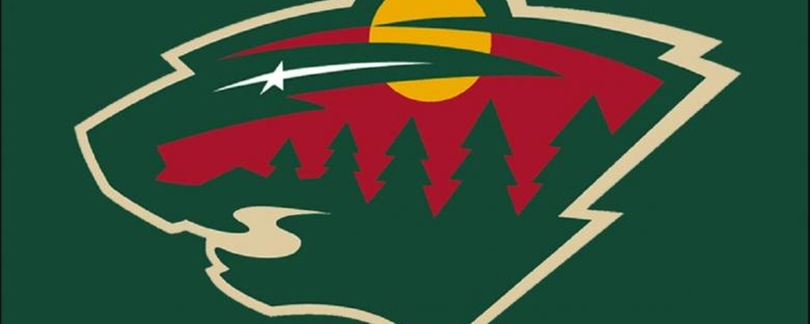 The Wild get great news on injured forward.