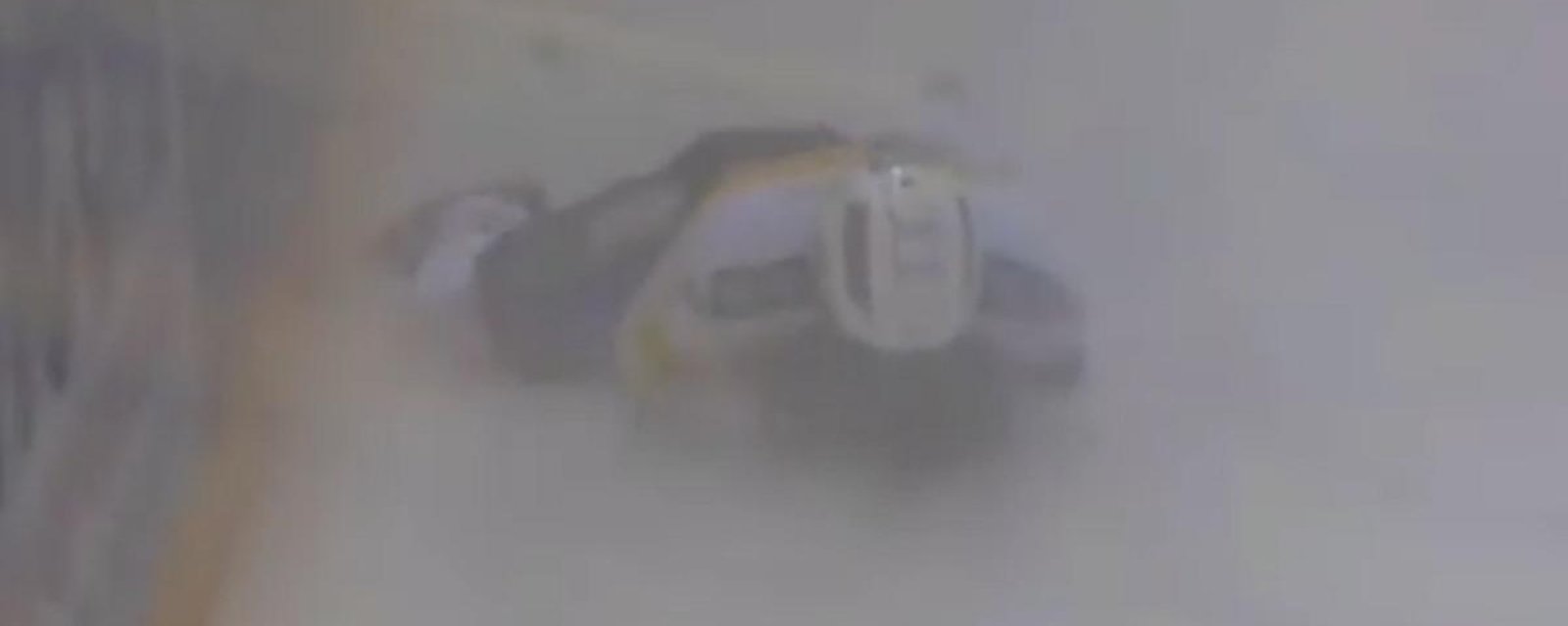 Former NHLer takes out his opponent with a slash to the face.