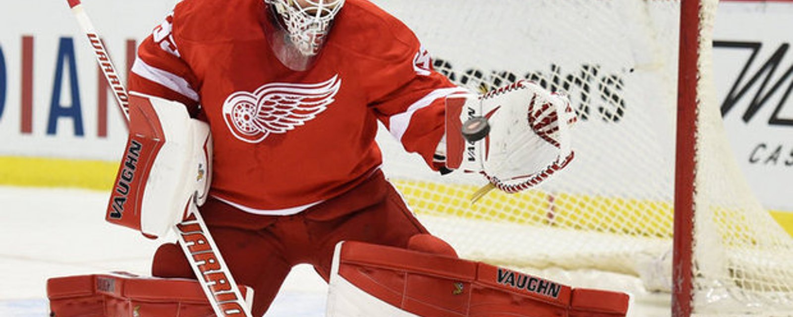 Updates From Red Wings' Training Camp
