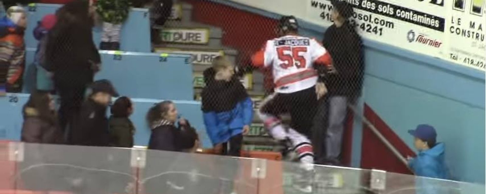 Ex-NHL player charges into the crowd to fight with fans!