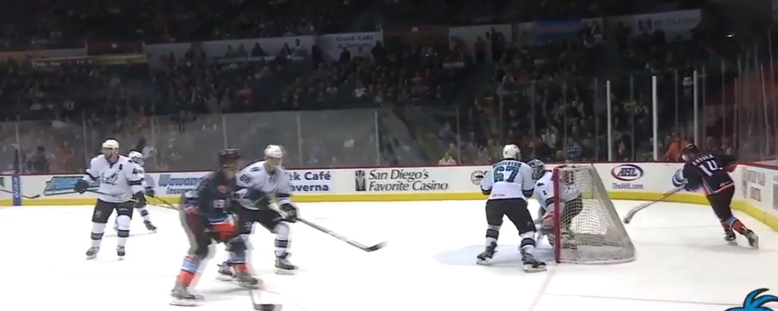 Must See: Ridiculous goal-of-the-year candidate in the AHL.