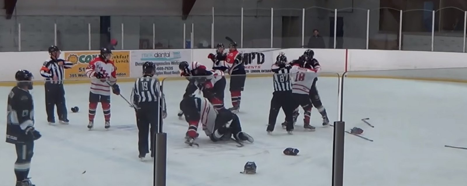 Goalie gets hit, players brawl and then the referee and coaches throw punches!