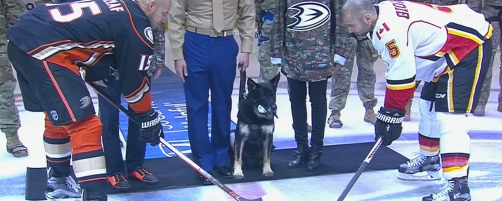 Bomb sniffing dog drops ceremonial puck on military appreciation night!