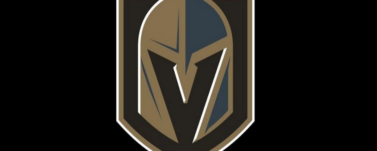New NHL team is officially announced, including their new name and logo.