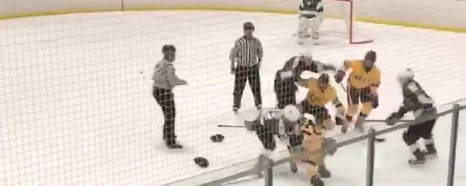 Violent brawl on the ice results in more fights in the crowd.