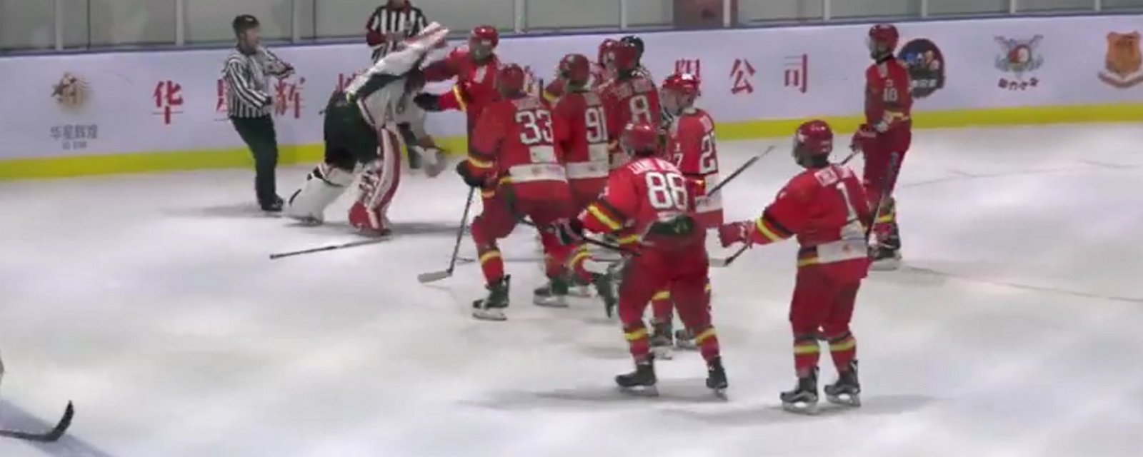 Goalie gets angry and starts a bench clearing brawl!