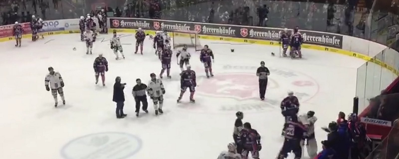 Players, backup goalies, and even the coaches clear the bench in huge brawl!