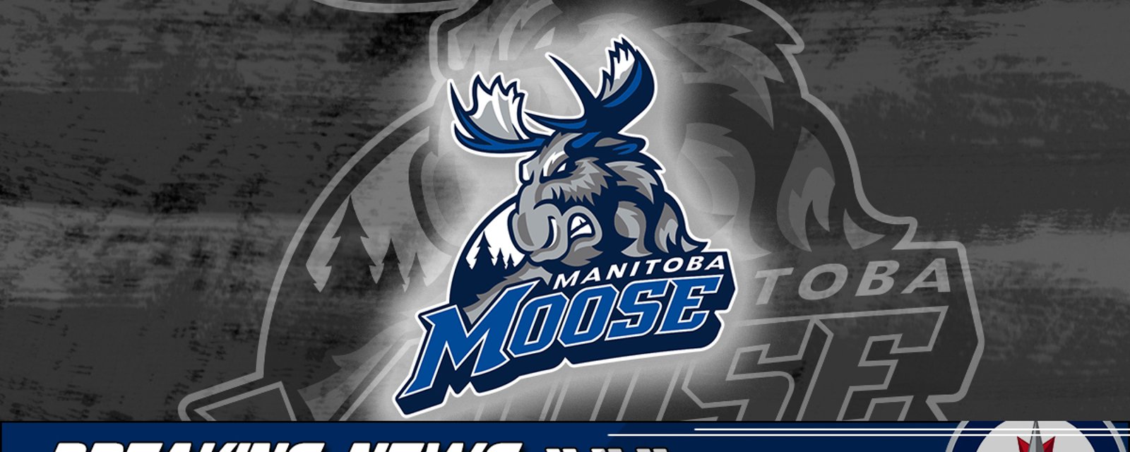 Breaking: The Jets have recalled a forward from the Moose!