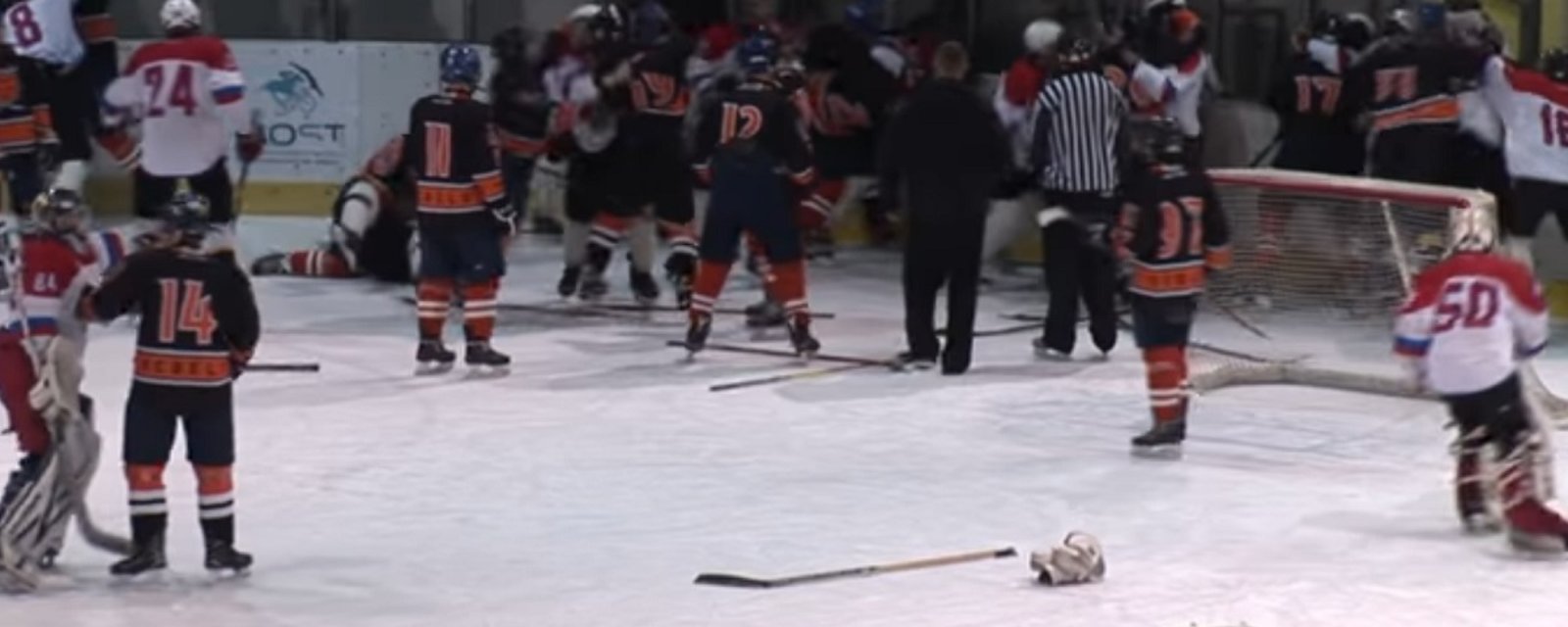Referee attacked in insane bench clearing brawl.