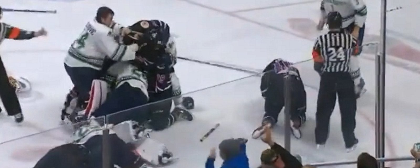 Playoff game ends in a line brawl and even the two goalies get involved!