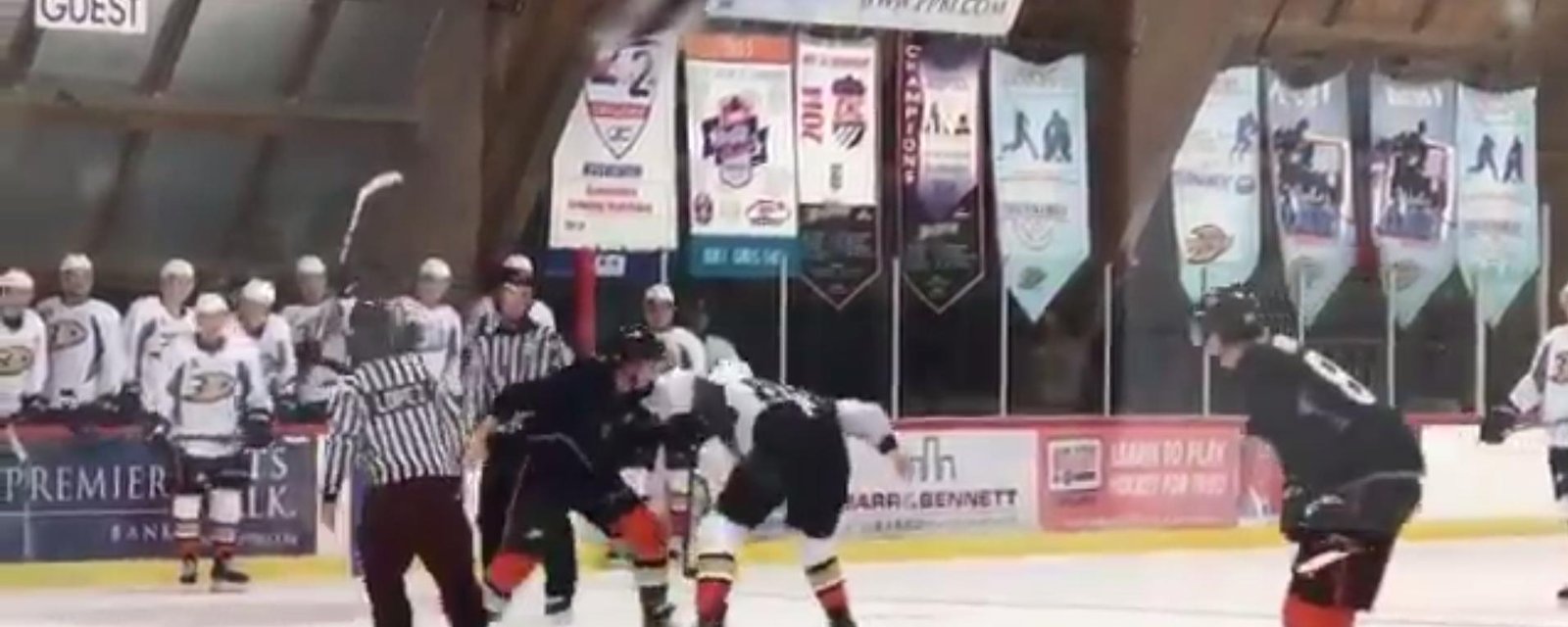 Two Ducks prospects drop the glove in development camp! 