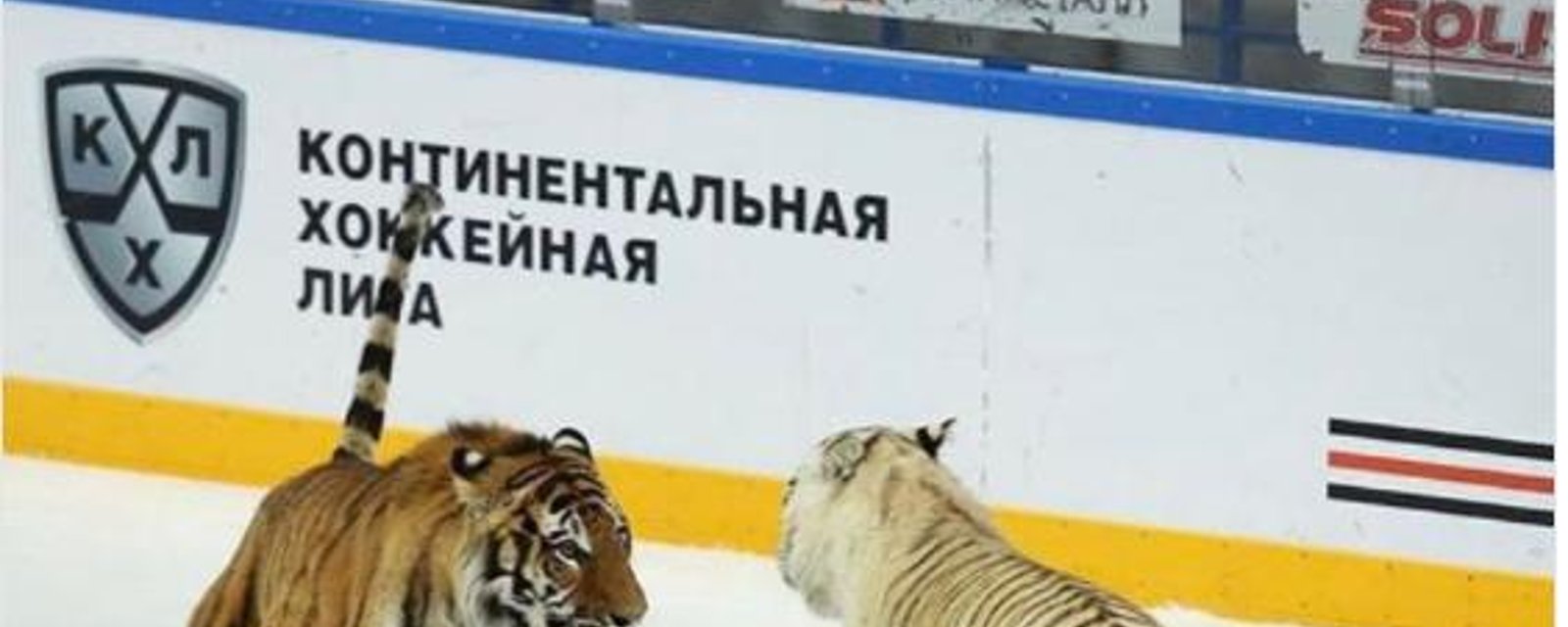 The KHL finds special way to promote its league. 