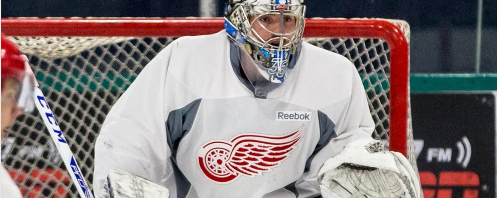 Breaking: The Detroit Red Wings have a new goaltender.