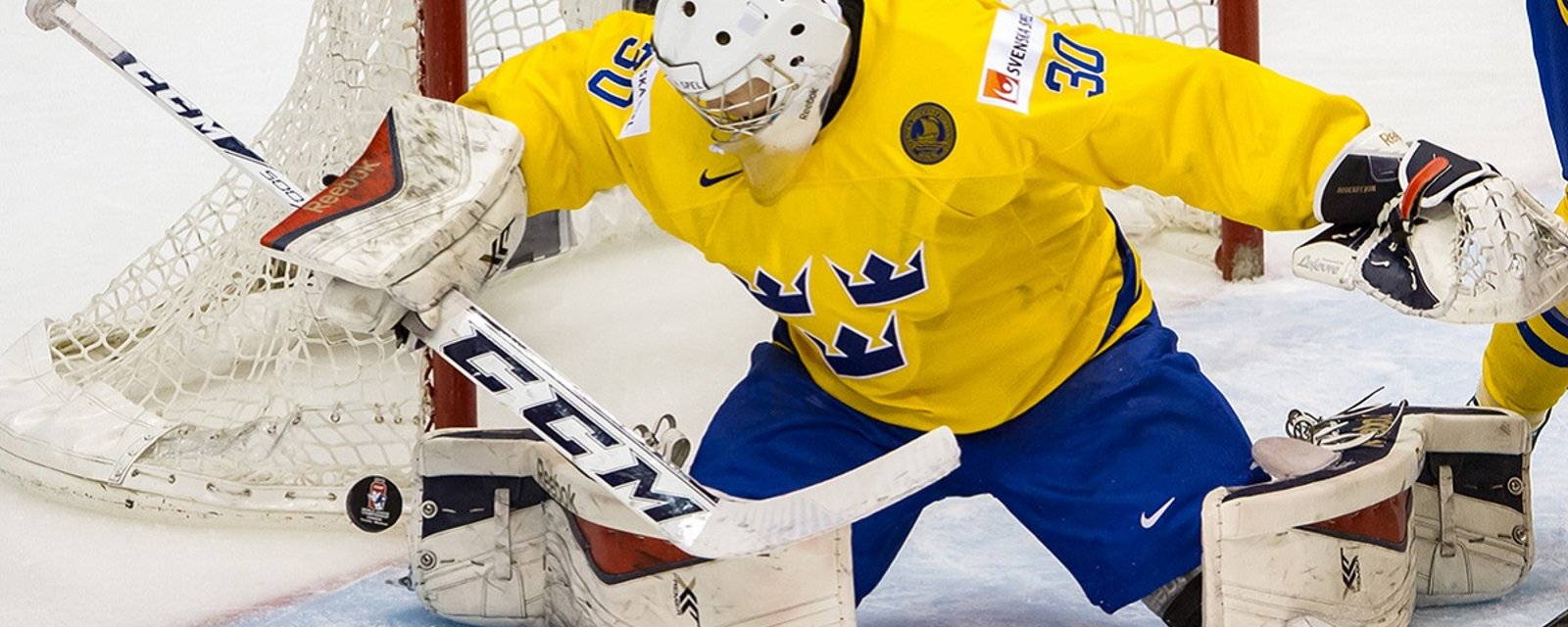2017 SHL Champion goalie signs with NHL team.