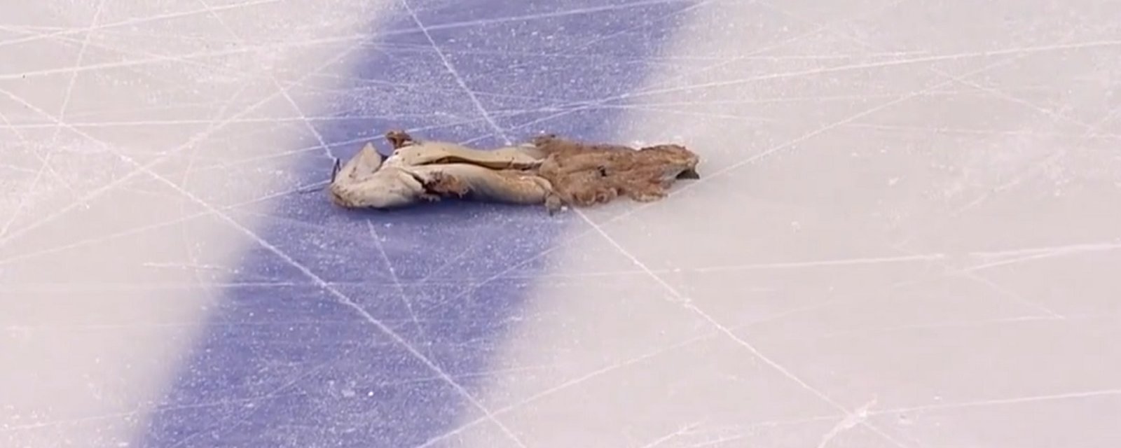 Predators fans manage to get a mangled catfish out onto the ice in Pittsburgh.
