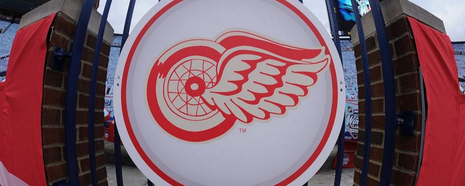 Red Wings show off their beautiful new arena for the very first time!