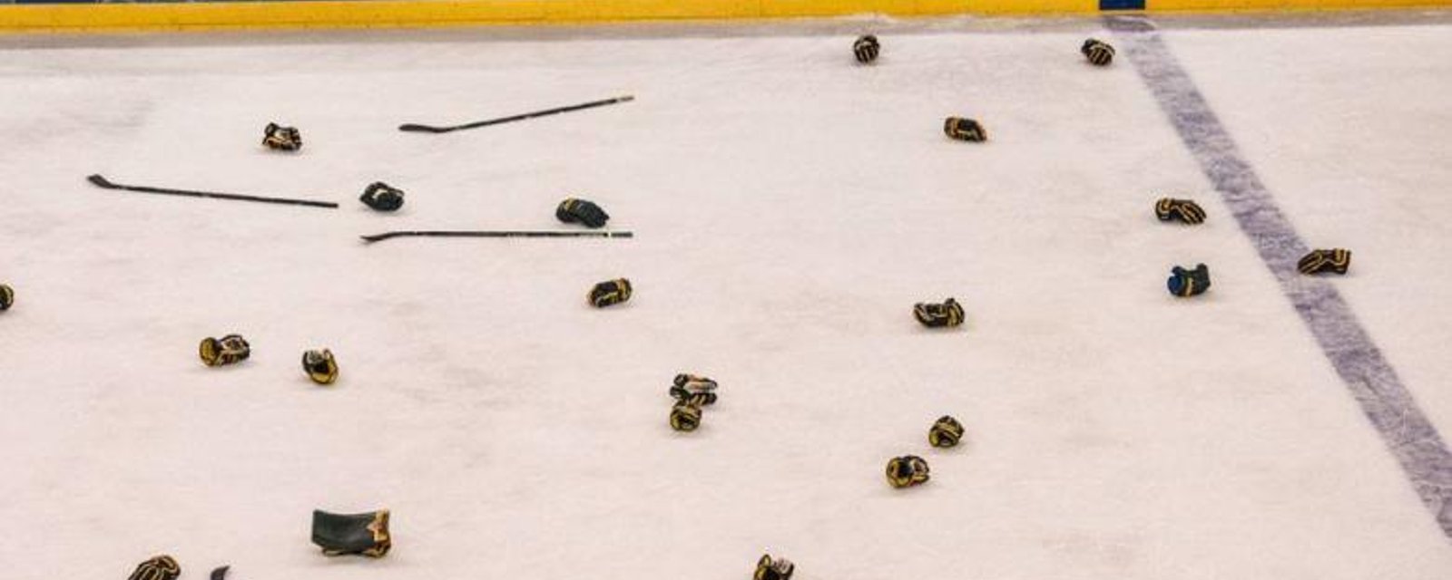 NHL team takes drastic action to help team avoid taking penalties