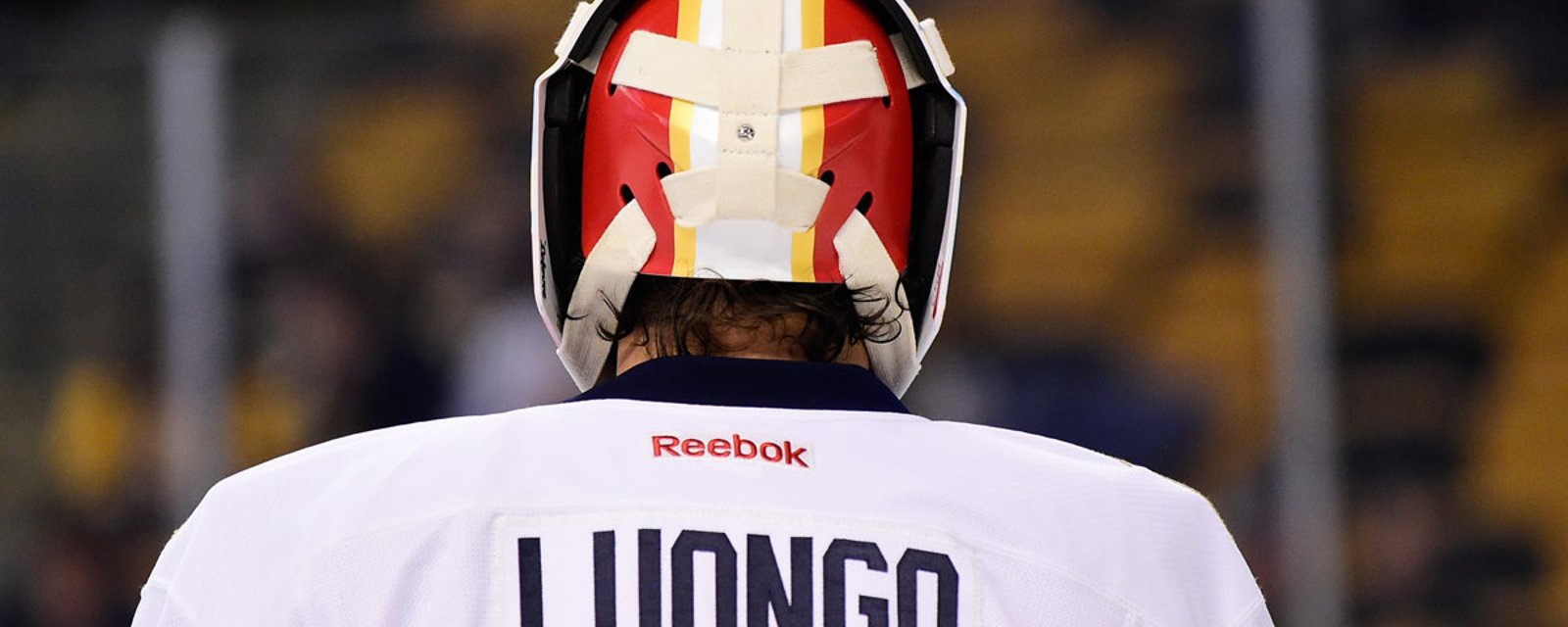 Luongo doubted he could come back to NHL