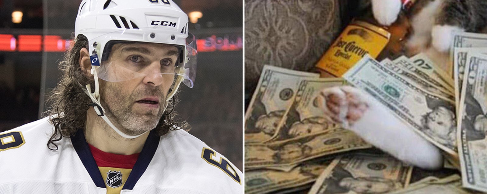 Must See: Jagr’s cat wins the Internet with viral photo