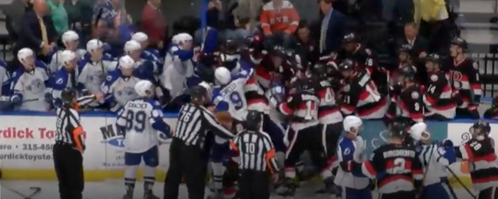 Must See: Ugly bench brawl in AHL game