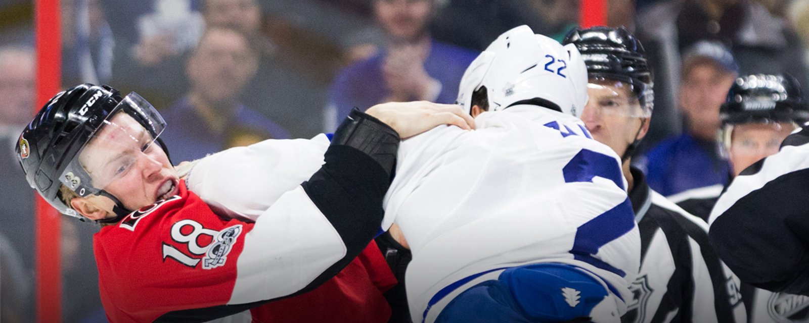 Sens fan beats up Leafs fan at Saturday night's game!