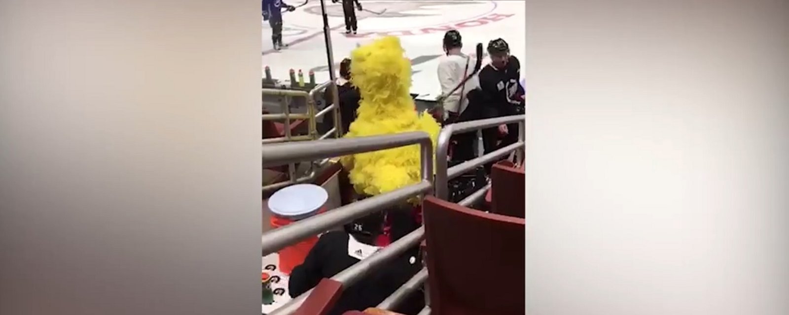 NHL star hits the ice as big bird during Tuesday practice. 