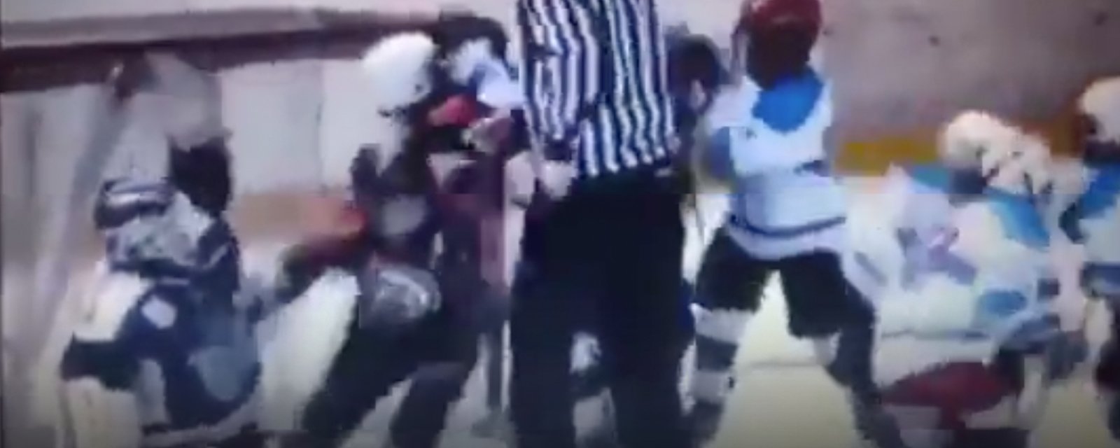 Massive line brawl erupts, refs can't do anything to stop it, goalie just dances as it happens