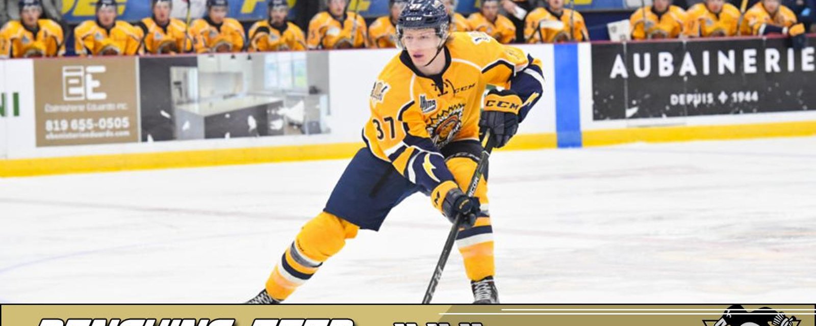 Report: Jan Drozg is doing quite good in the QMJHL!