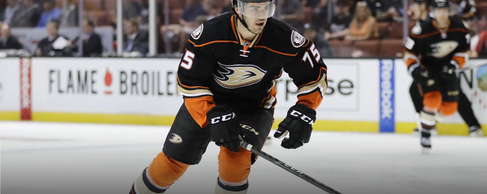 Ducks recall young prospect from the AHL