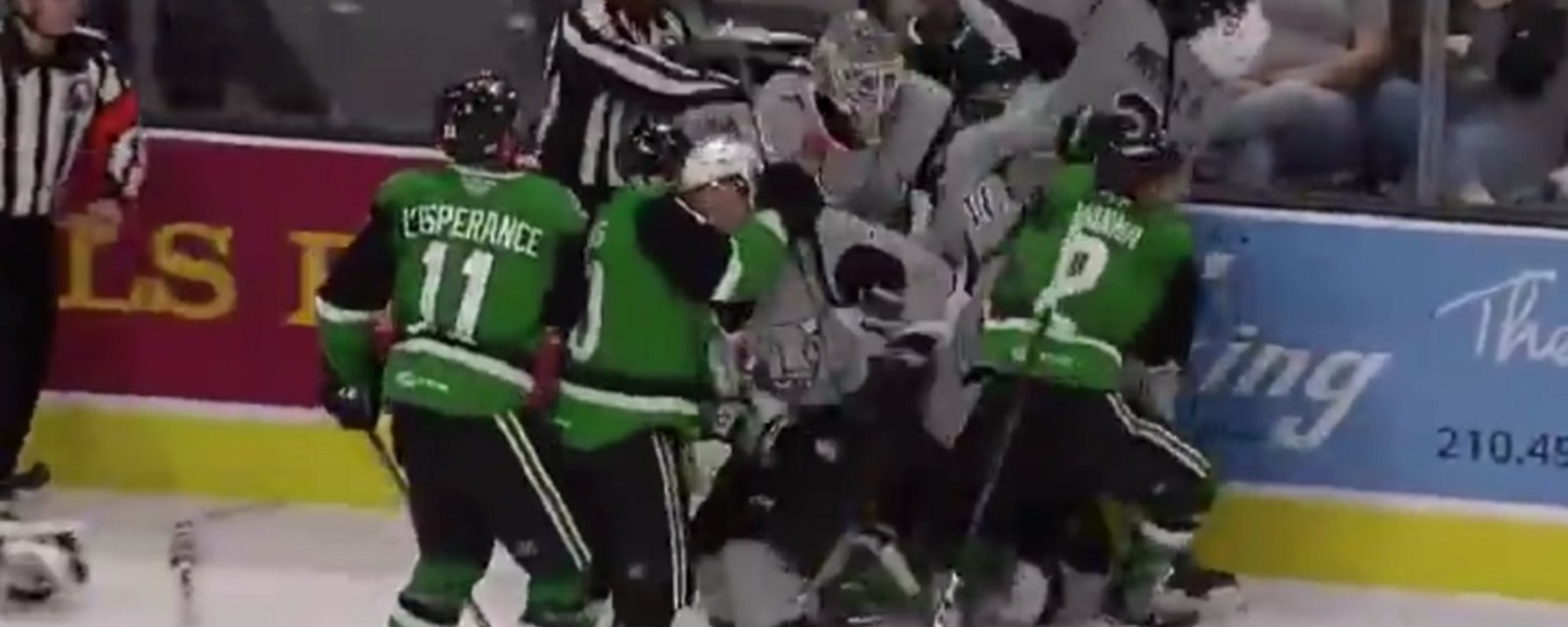 Goalie snaps and tries to fight an entire team after giving up 7 goals.