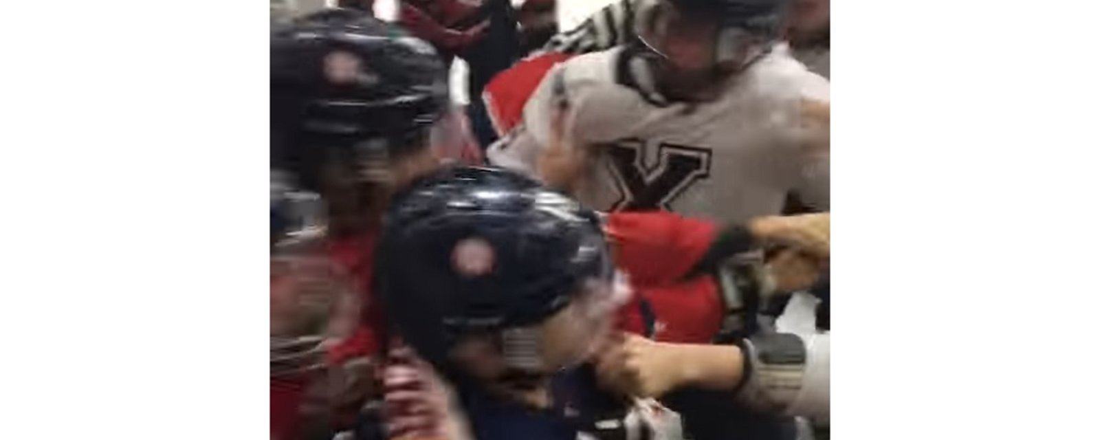 Canadian University hockey game erupts into wild bench brawl!