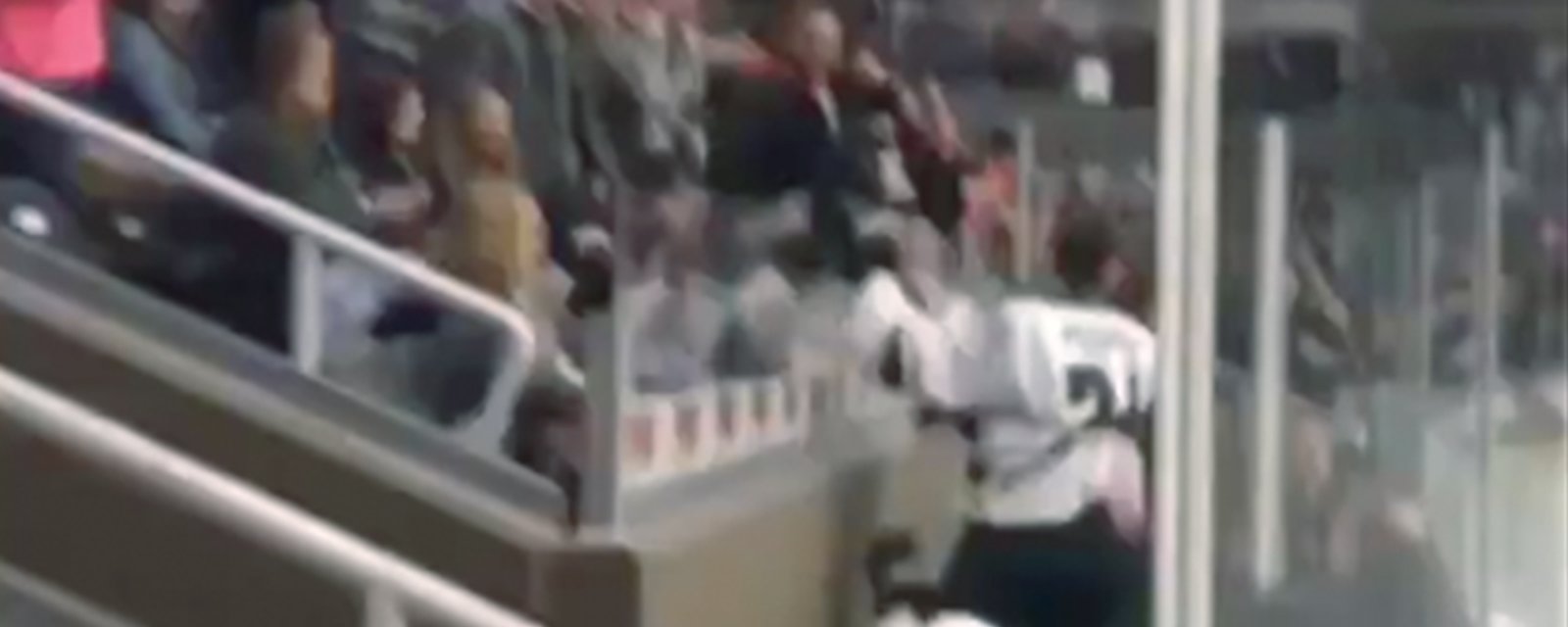 Flames prospect Popisil climbs the glass and tries to fight a fan