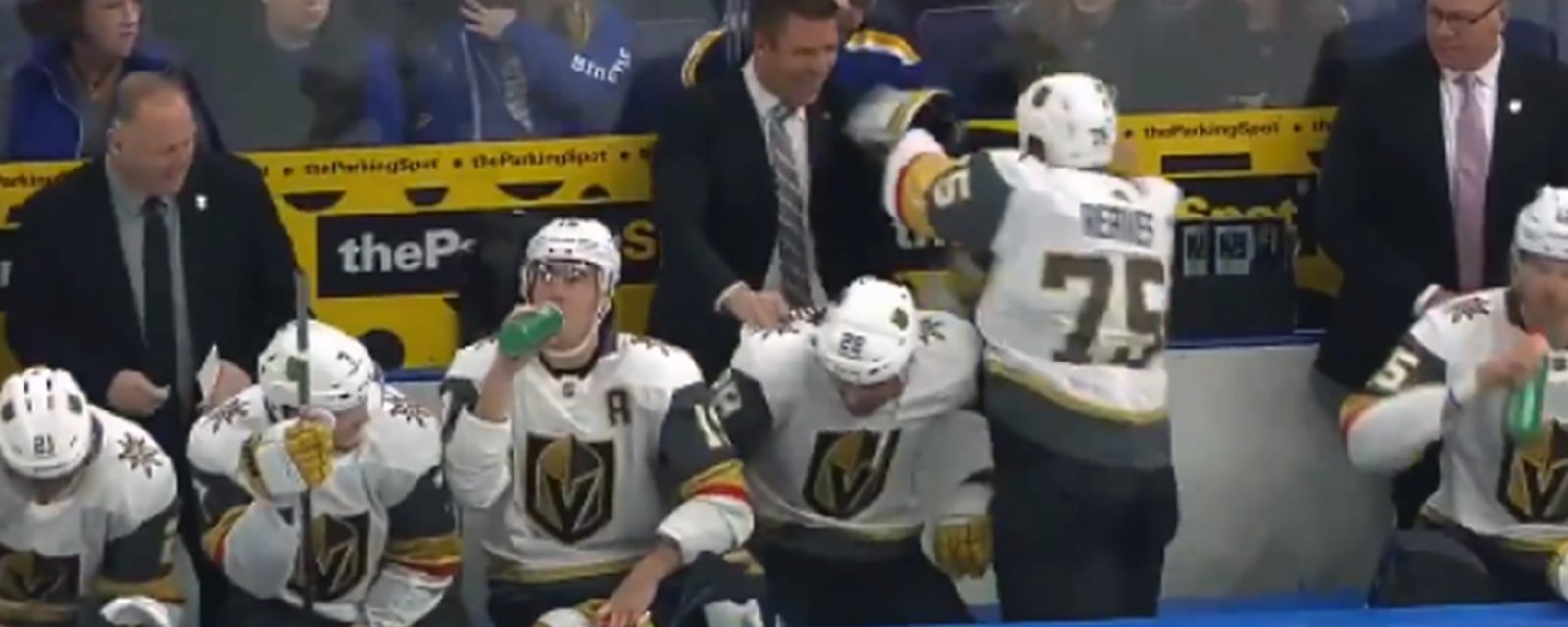 Ryan Reaves fires up the boys by challenging his coaches to a scrap on the bench