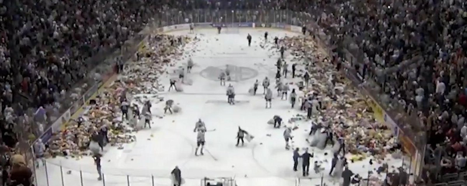 Fans go all out for a crazy Teddy Bear Toss on Sunday night!