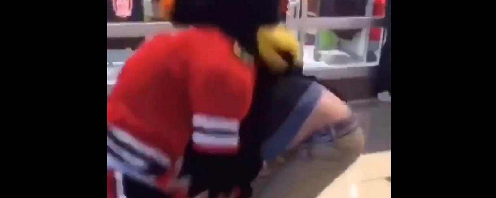 NHL mascot involved in a fight with a fan.