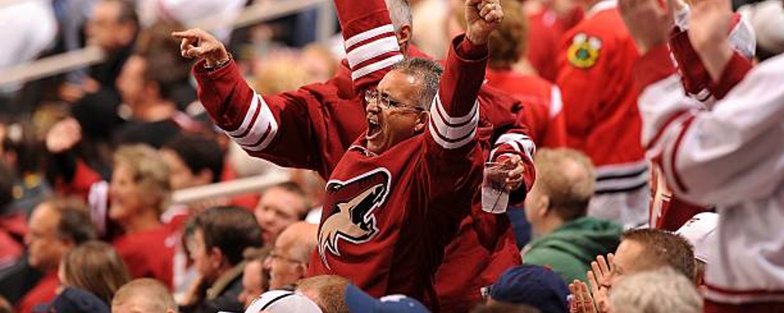 Coyotes are drawing bigger crowds this season than ever before in franchise history!