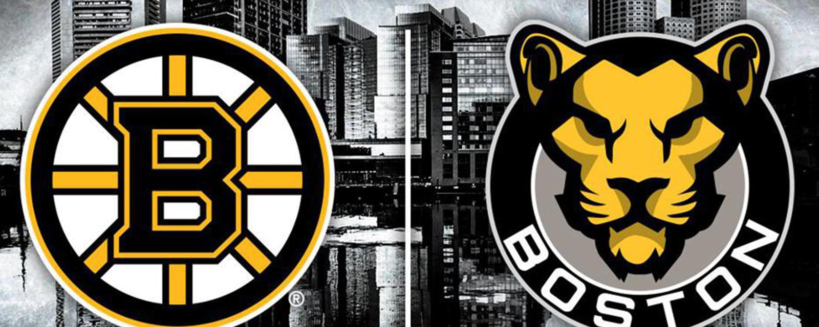 Breaking: Bruins and Boston Pride announce official partnership
