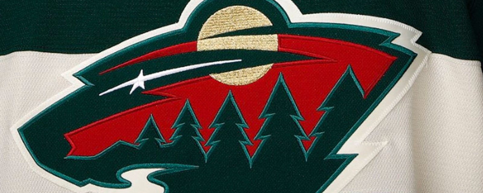 Report: Wild to interview recently fired NHL GM for vacant position
