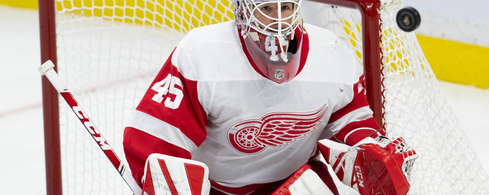 Wings keep the same lineup against the Blues despite defeat