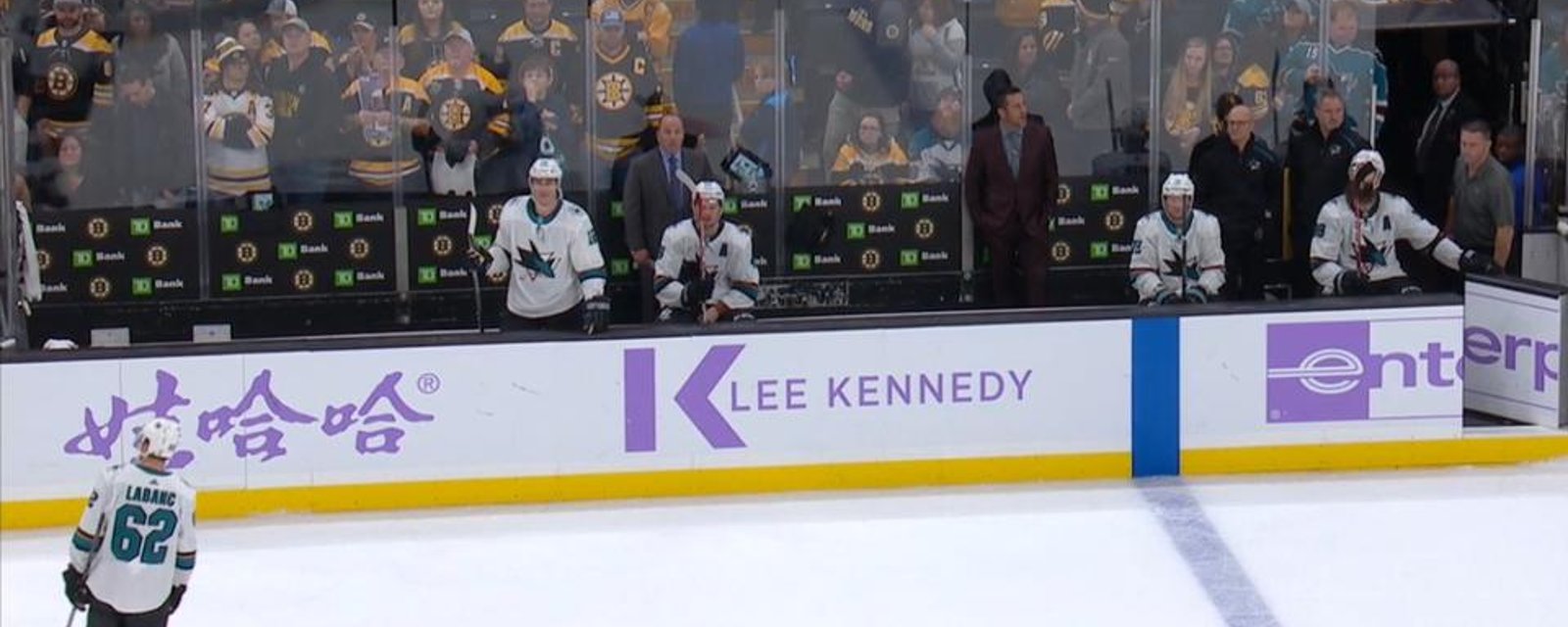 Coach DeBoer and 6 players get ejected from Bruins-Sharks game! 