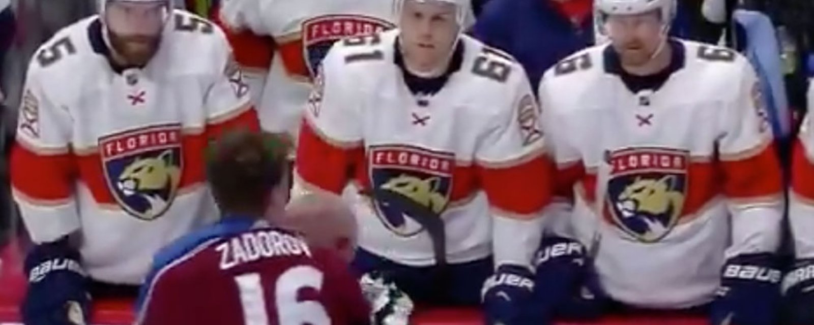 Zadorov gets ejected for challenging Panthers bench to fight! 