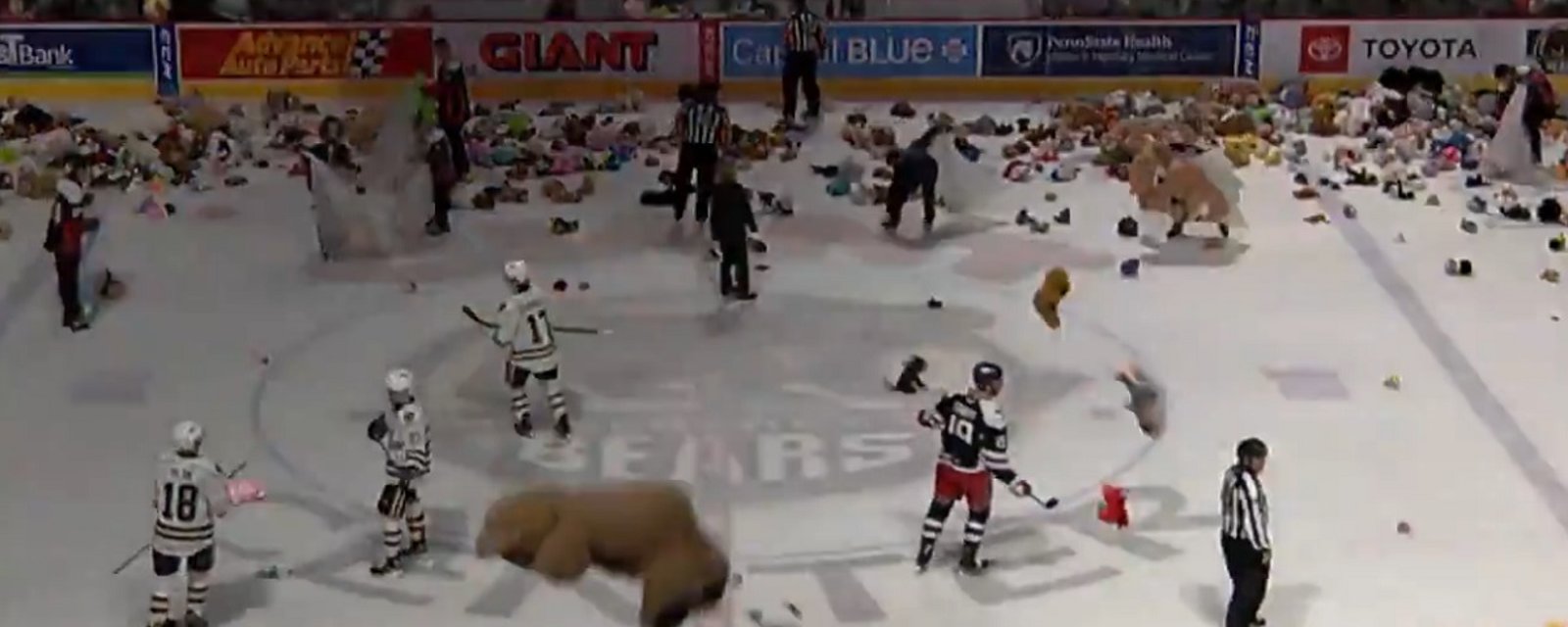 Hockey fans cover the ice with bears in annual Teddy Bear Toss.