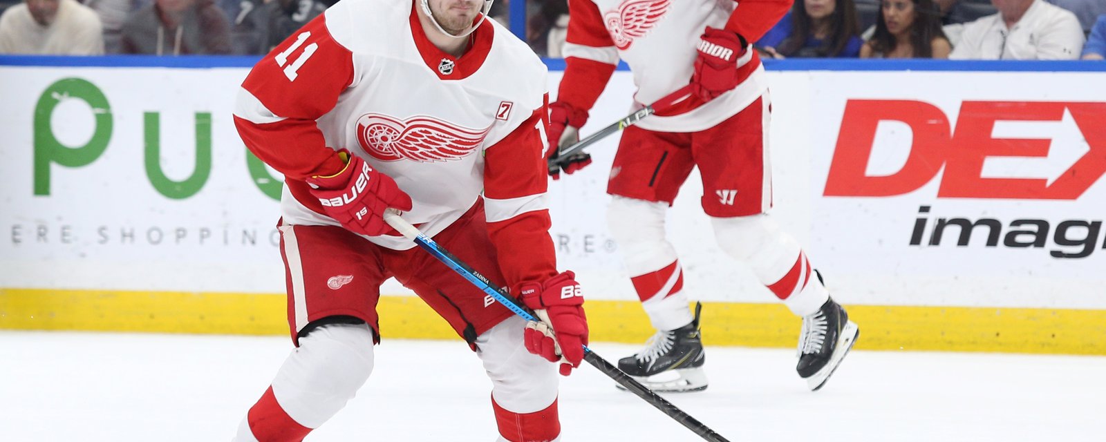 Zadina gets called back up to Detroit to play on top line? 