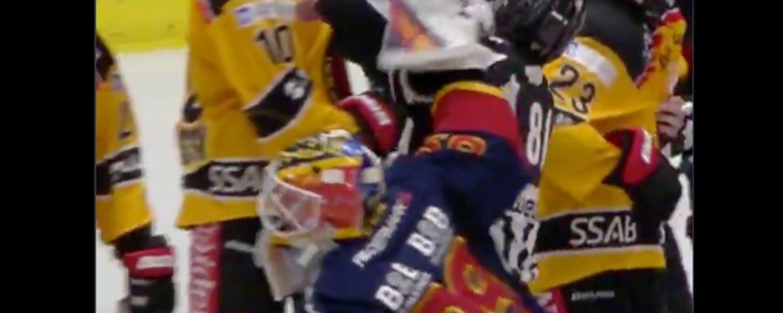 Former Bruins goalie Svedberg punches referee in the face, gets suspended