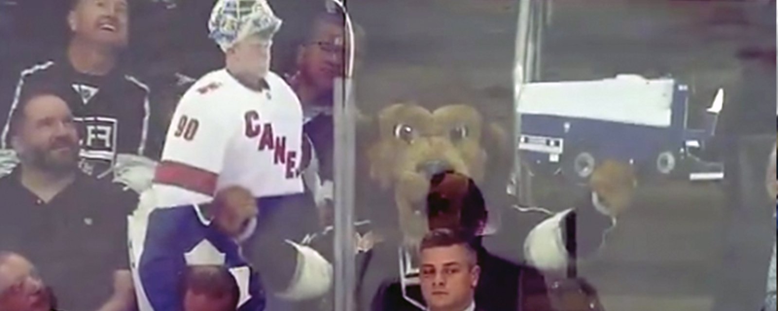 Kings mascot trolls Leafs head coach Sheldon Keefe during last night’s game