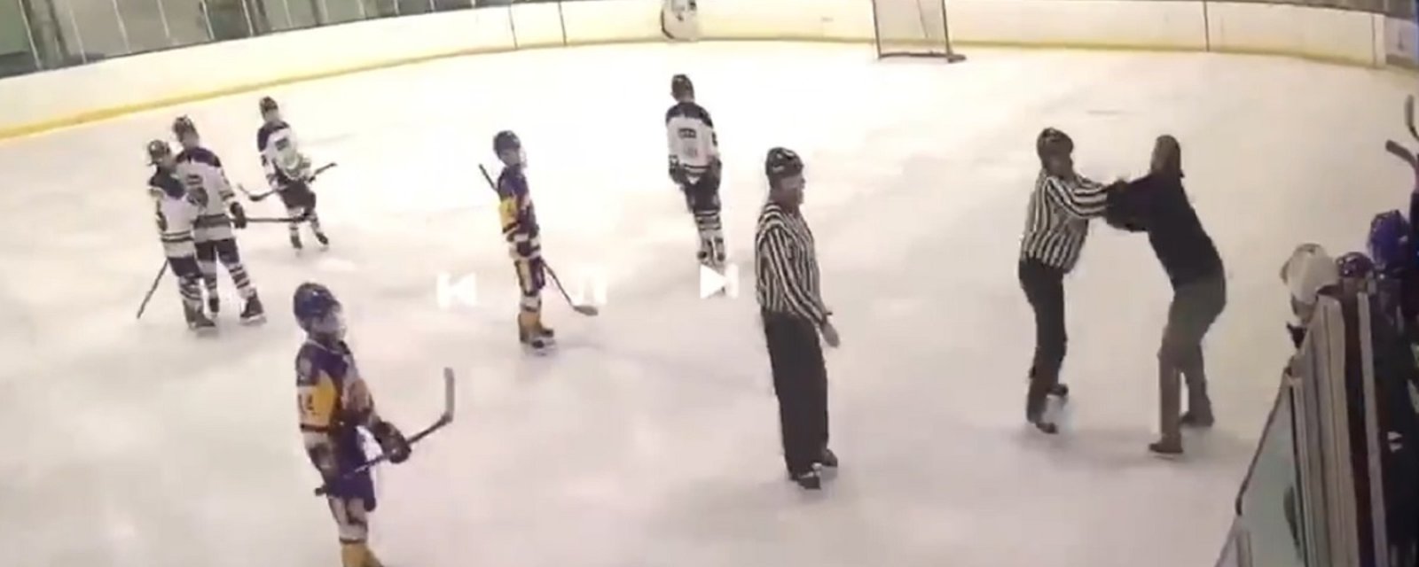 Crazed coach attacks referee at youth hockey game.