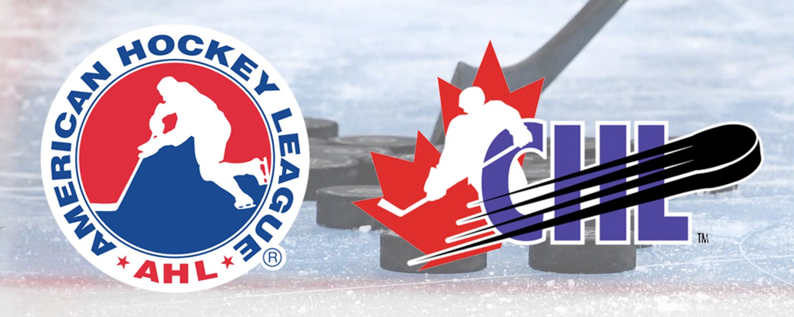 AHL and CHL follow NHL's lead and suspend operations